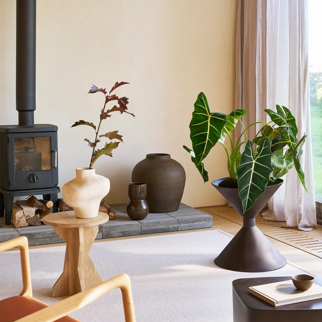 Vaas Noan downtown bruin