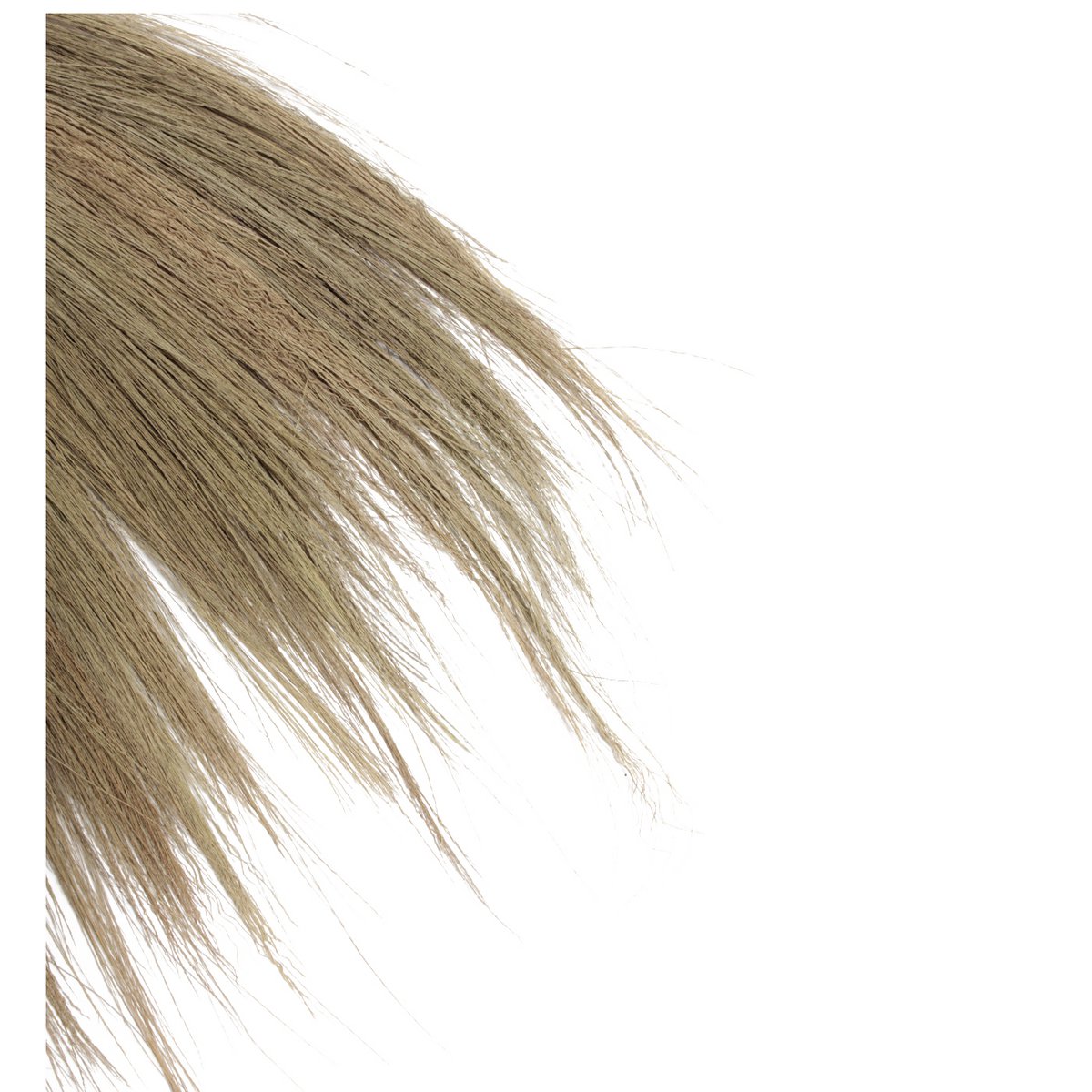 Hooi-wanddecoratie (set van 6)