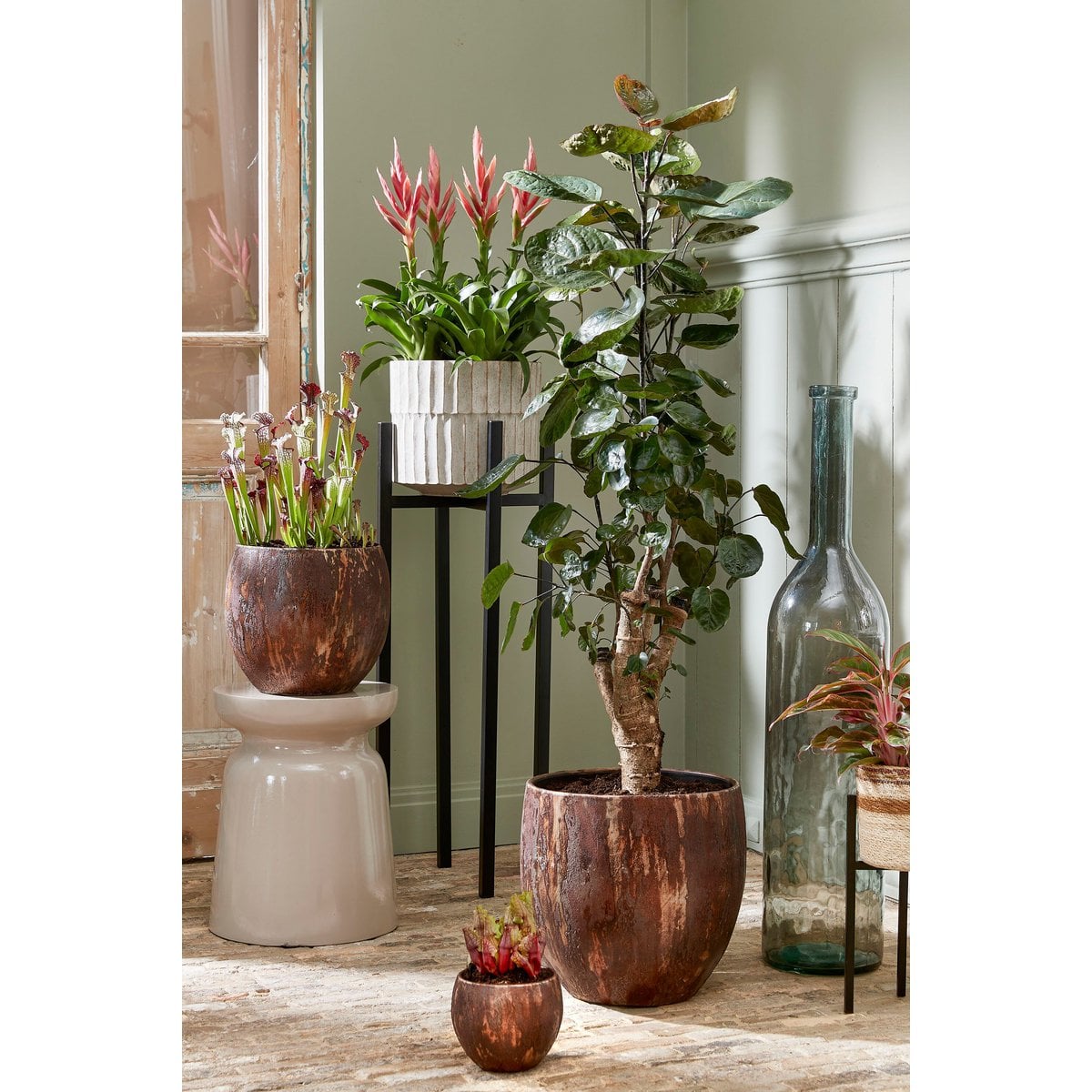 Decoratieve fles Rioja