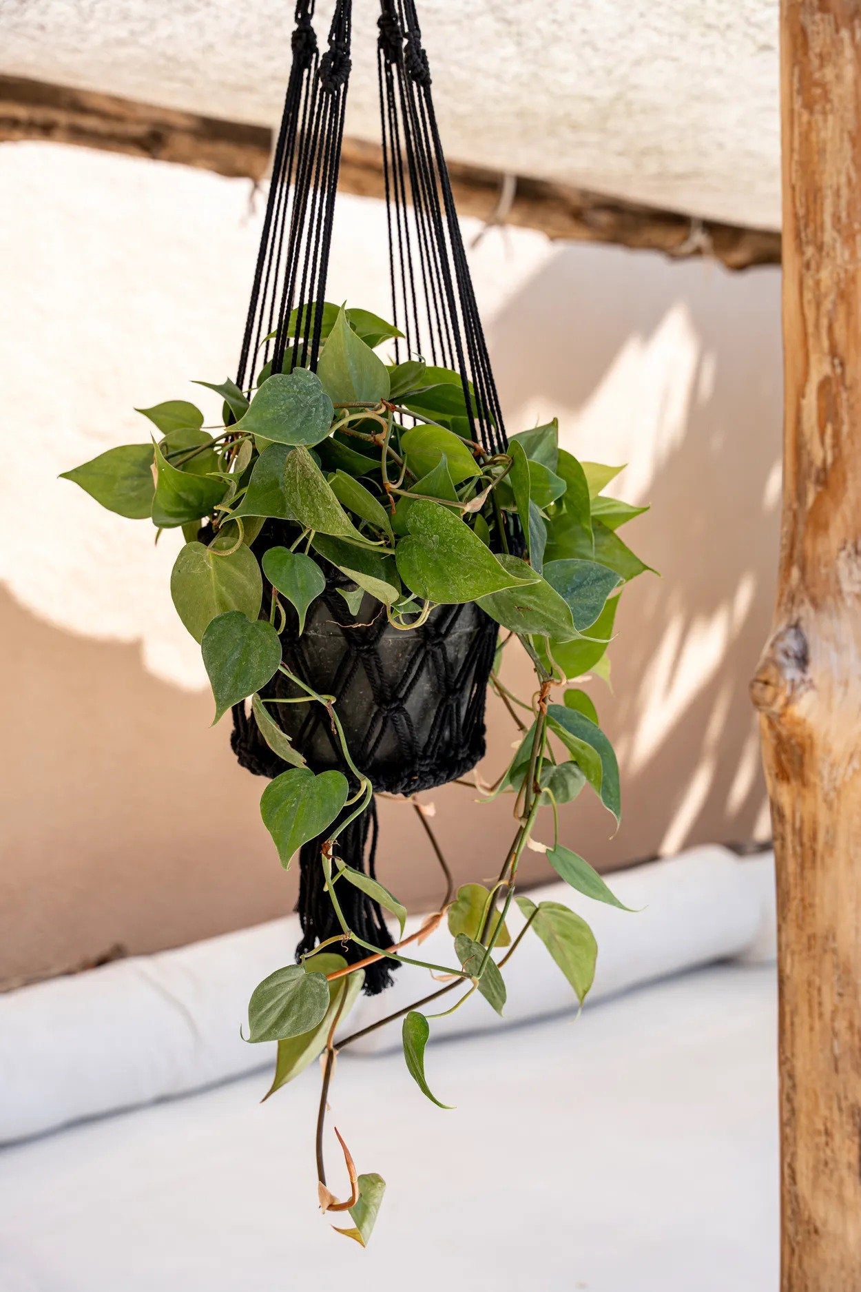 De Macrame Plantenhouder - Zwart - L