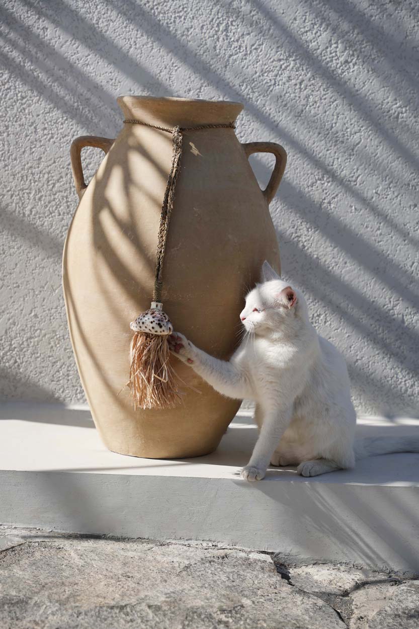 De Raffia Lupina Kwastje - Natuurlijk