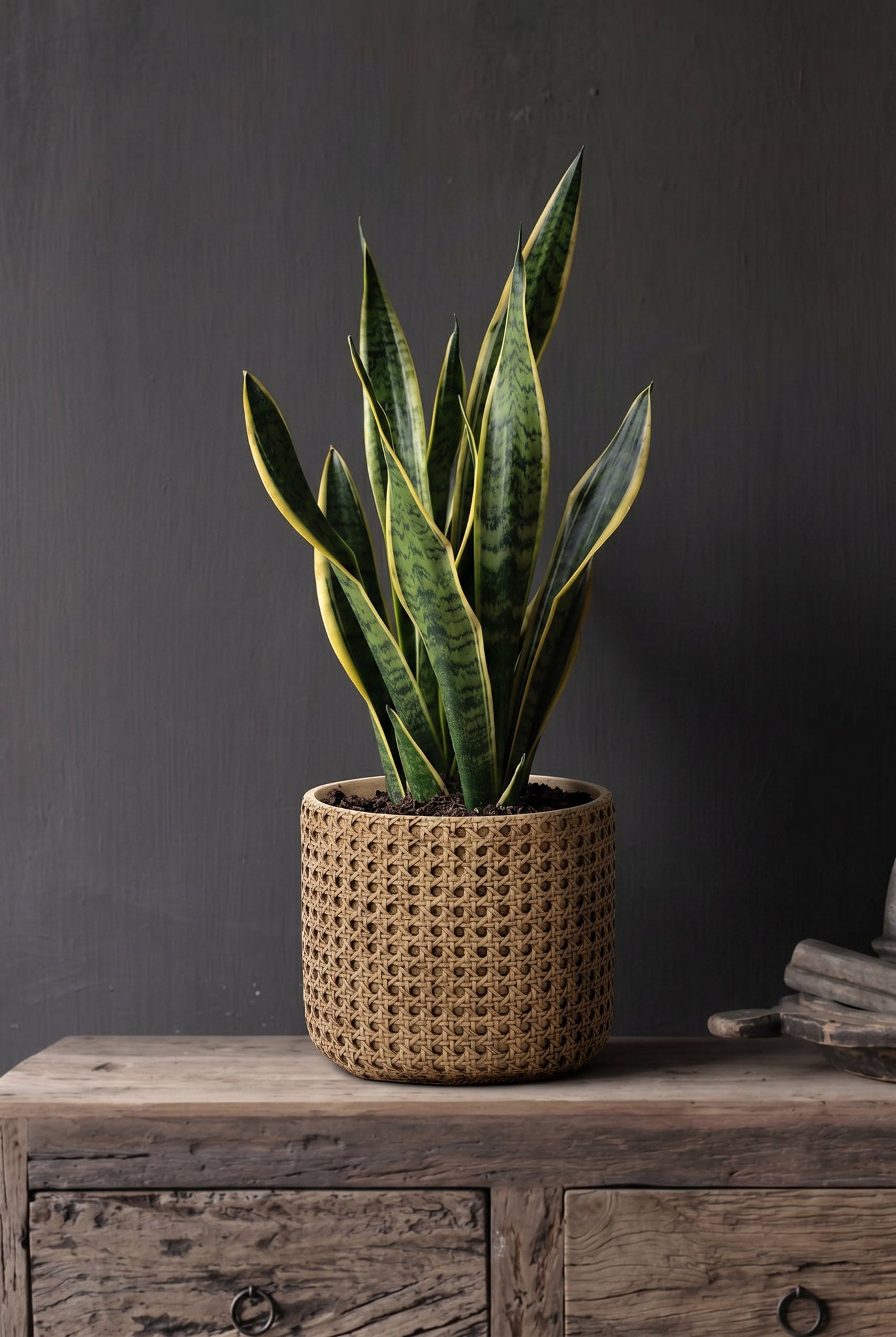 De RattanRock plantenbak - Naturel - L