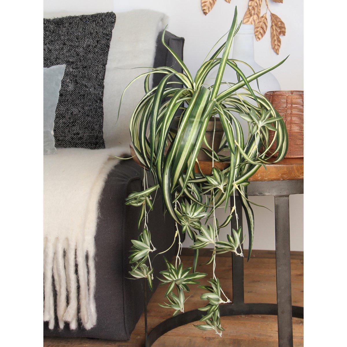 Chlorophytum Kunstplant in Bloempot Stan - H45 x Ø45 cm - Groen-Mica Decorations-Ik Hout ervan.