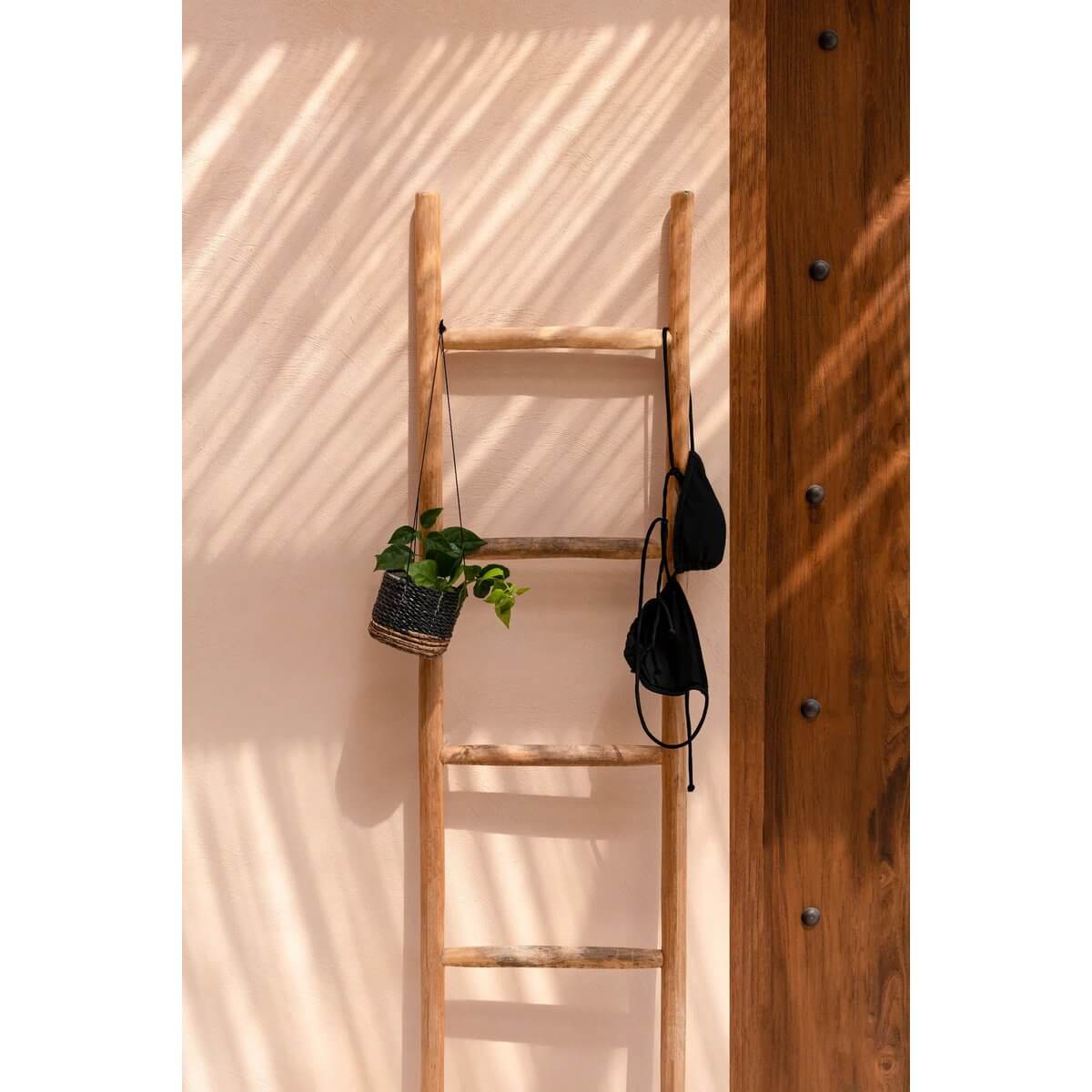 Bohemian hanging basket with plant on wooden ladder against a sunlit wall.
