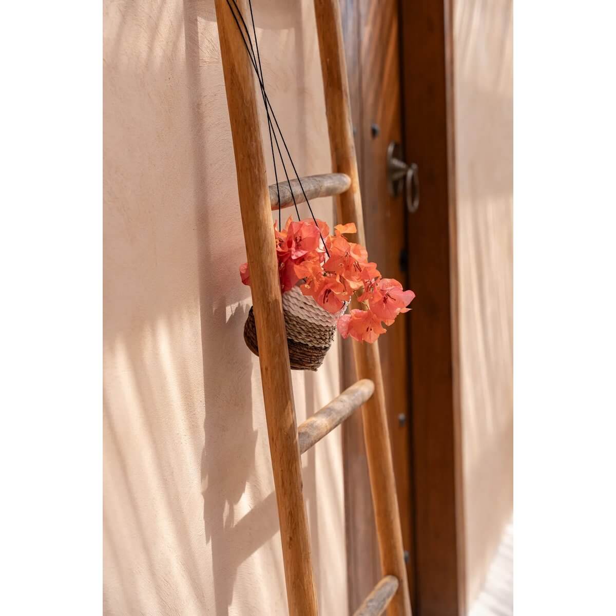 Bohemian plant hanger with orange flowers on a ladder against a sunlit wall, providing a natural decor touch.