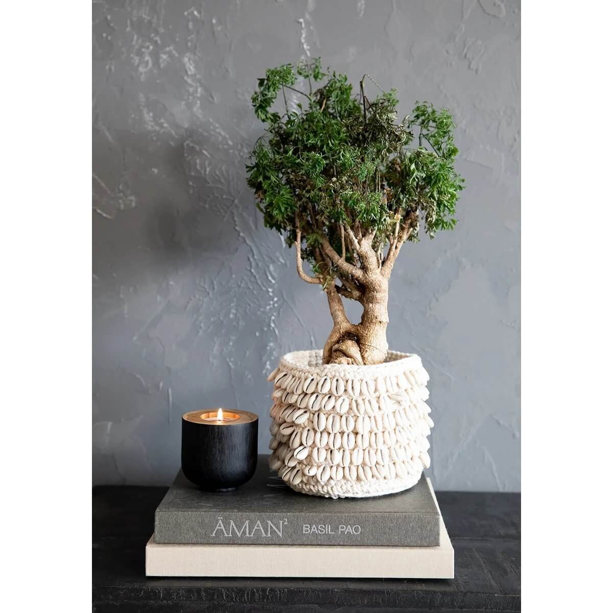 Decorative tree in shell-styled pot placed on books, next to a black candle, against a gray textured wall.