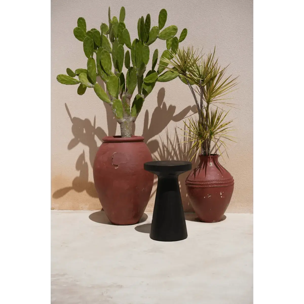 Bohemian style black De Fiji side table in suar wood with terracotta pots and cacti for modern living spaces.