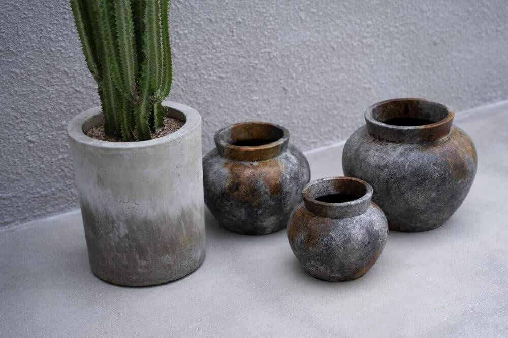 Drie antiek grijze terracotta vazen naast een cactus in een pot op beton, ideaal voor droogbloemen, met een zilverachtige glans.