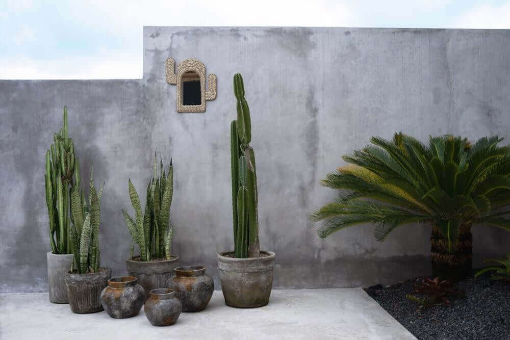 Antieke grijze terracotta vazen met cactussen tegen een betonnen muur, stijlvolle en rustieke tuinsetting.