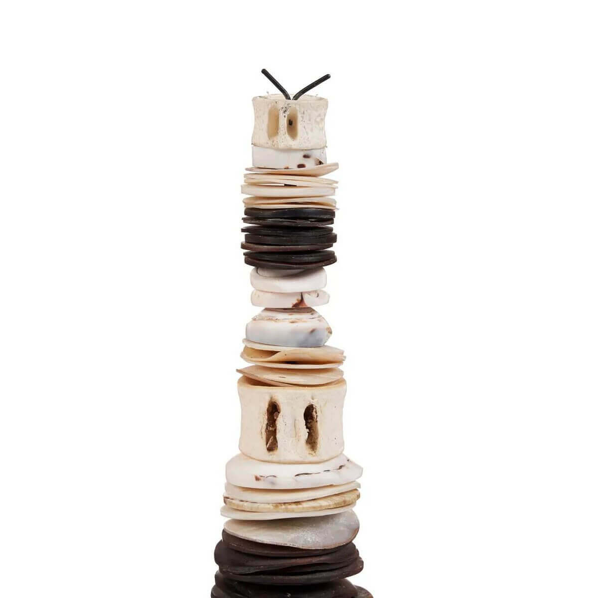 De Geldschelp op Standaard - Artistieke zwart-witte schelpen decoratie, 35cm hoog. Luxe kuststijl van Bazar Bizar Living.