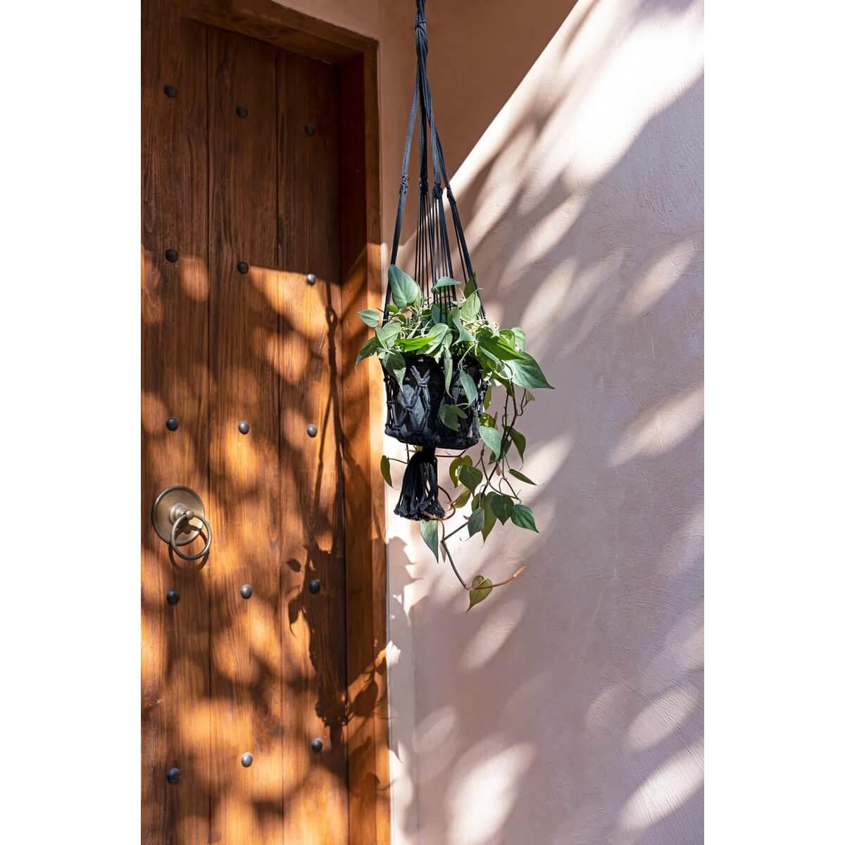 De Macrame Plantenhouder - Zwart - L, bohemian style, hanging in sunlit space with green plant, perfect for indoor decor.