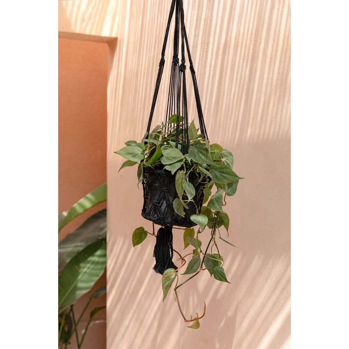 Bohemian black macramé plant holder hanging with lush greenery, perfect for indoor or covered outdoor decor by Bazar Bizar Living.