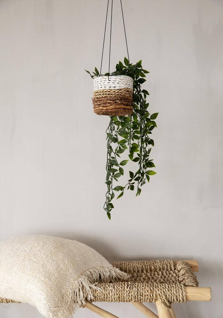 Bohemian interieur met crèmekleurige kussenhoes op rustieke bank en hangende plant, stijlvolle textuur voor elke ruimte.
