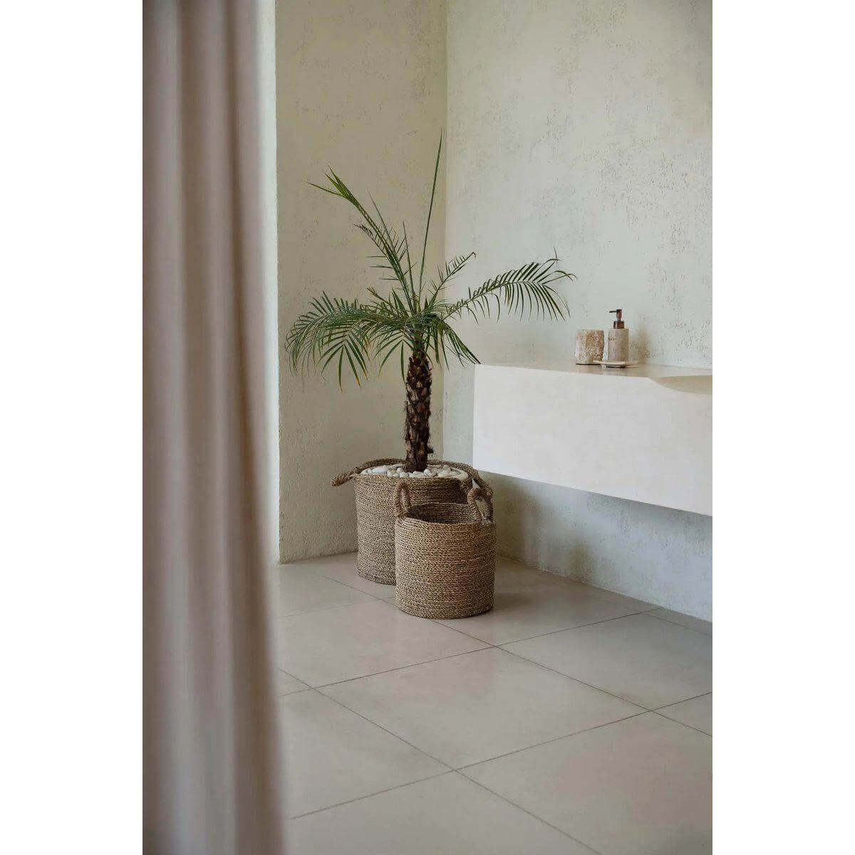 Handgeweven zeegras manden met palmboom in moderne badkamer, stijlvolle opbergoplossing