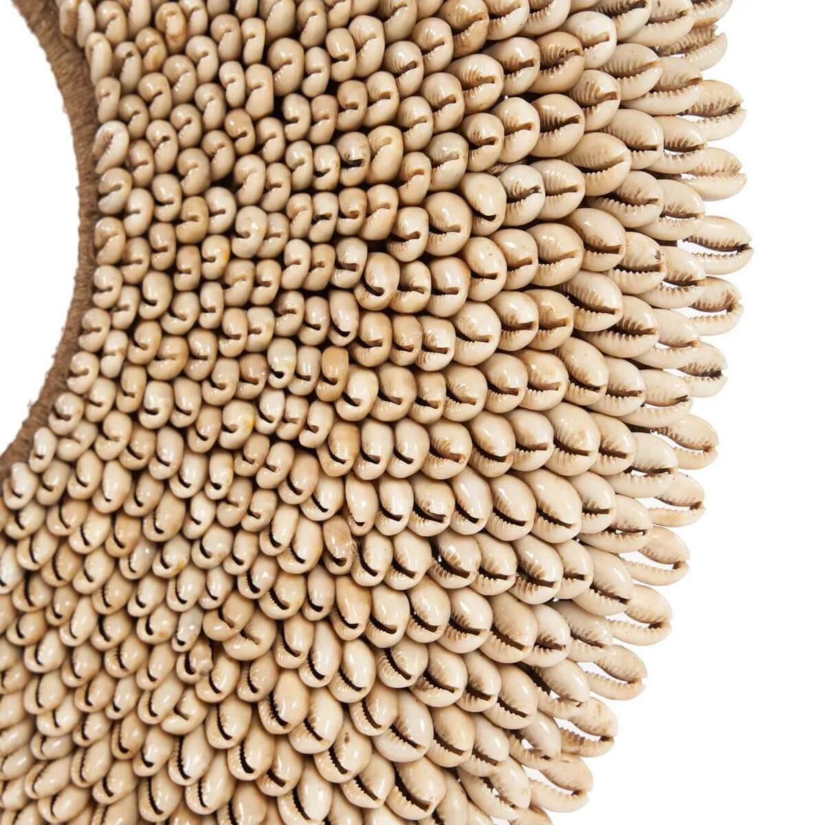 De Shell Réunion op strakke standaard, prachtige schelpen kunstig gerangschikt voor een stijlvolle interieurdecoratie.