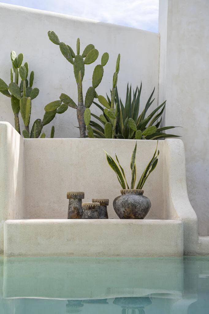 Antieke grijze terracotta vaas met raffiadetail, ideaal voor droogbloemen, geplaatst in een stijlvolle buitenomgeving met planten.