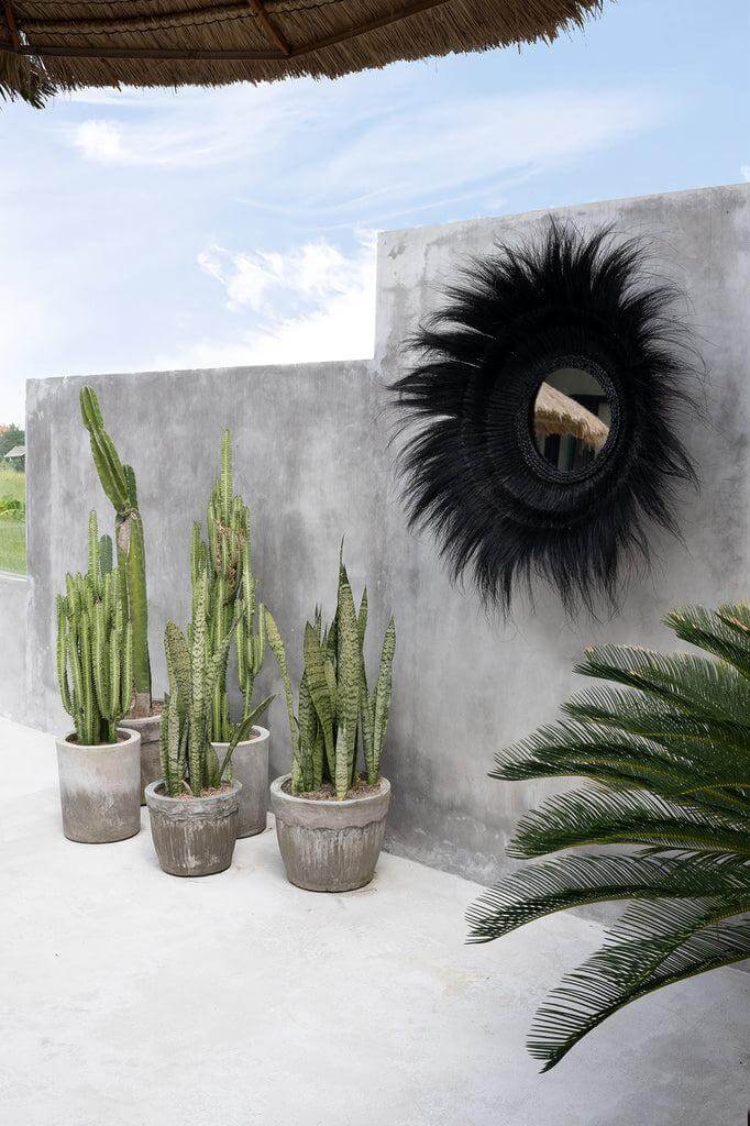 Zwarte verzonken spiegel aan betonnen muur, omringd door cactussen en planten in een stijlvolle buitenruimte, perfect voor drama en diepte.