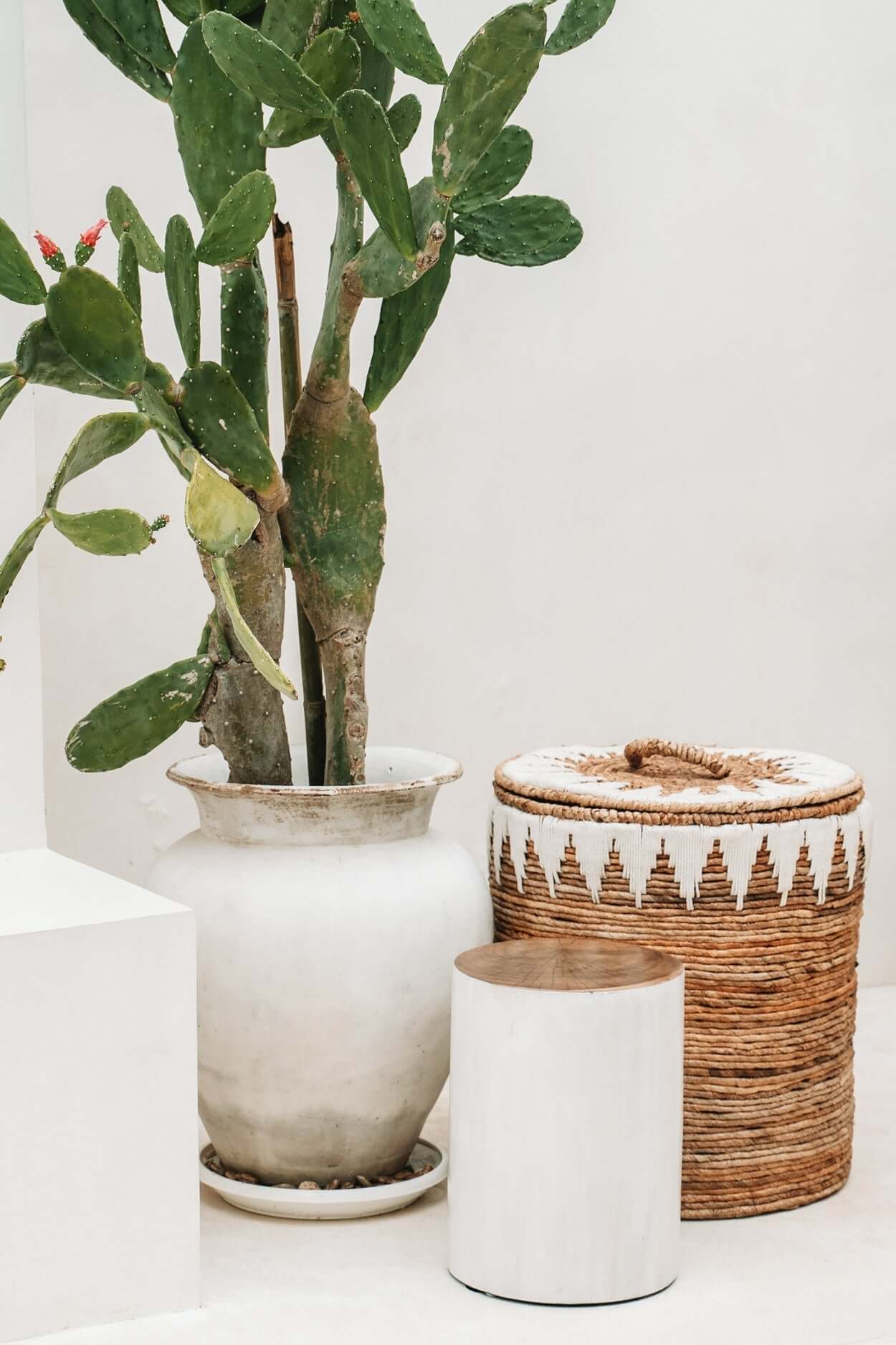 Stijlvolle De Tribe Kruk in naturel wit naast een cactus en rotan mand, perfect voor elk interieur.