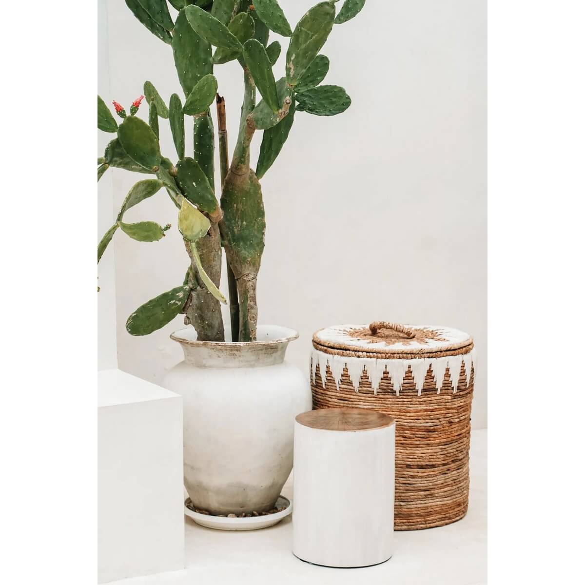 Alt Tag: Stijlvolle bananengeweven wasmand naast cactus en moderne decoraties in een minimalistisch interieur.