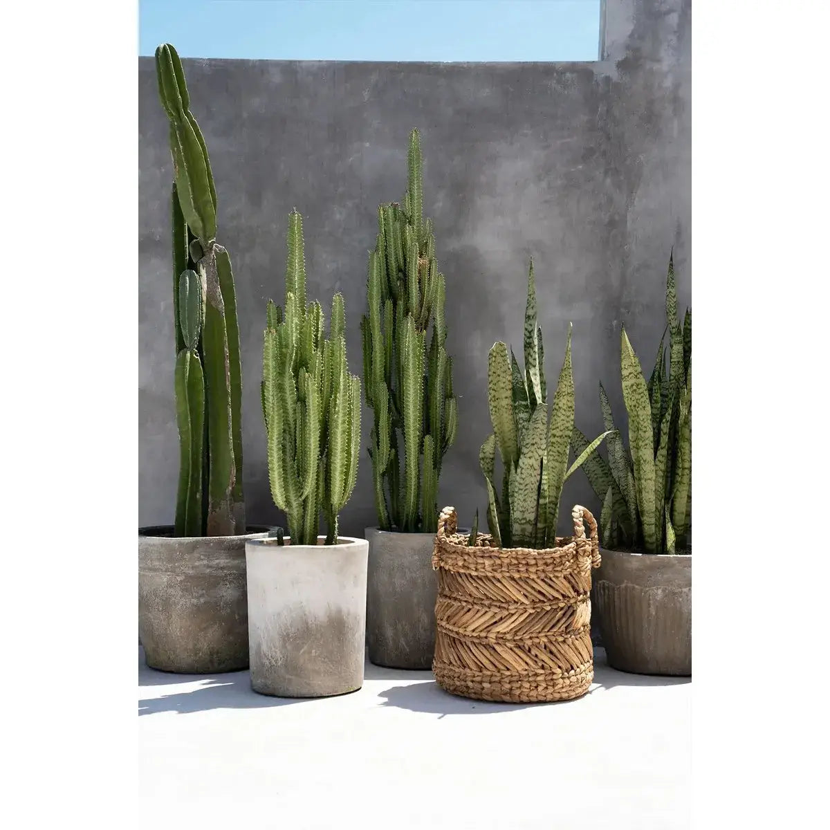 De bananenzigzagmand - M-manden-Bazar Bizar Living-Ik Hout ervan.