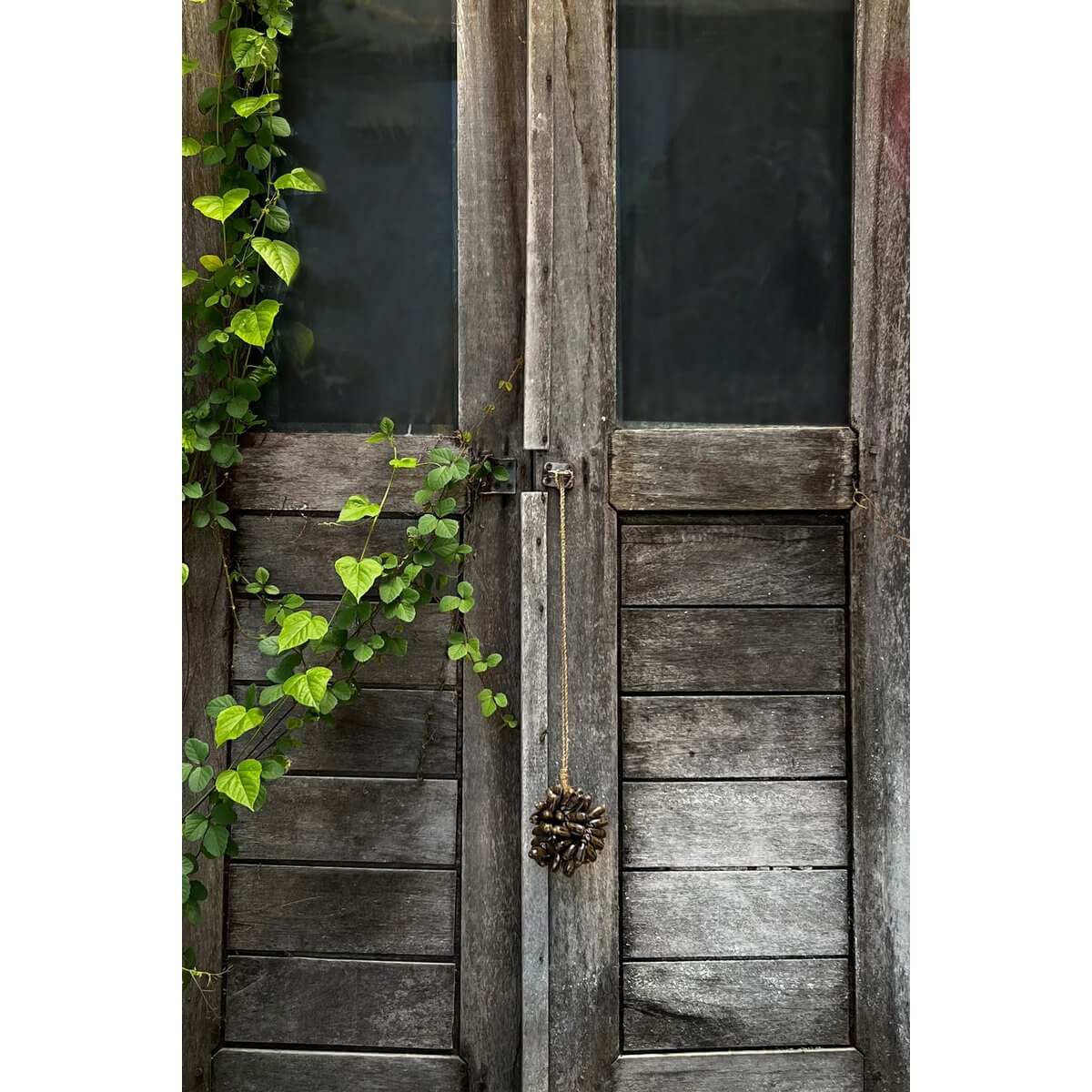 Rustic wooden doors adorned with green vines and a decorative shell tassel, creating a bohemian and exotic atmosphere.