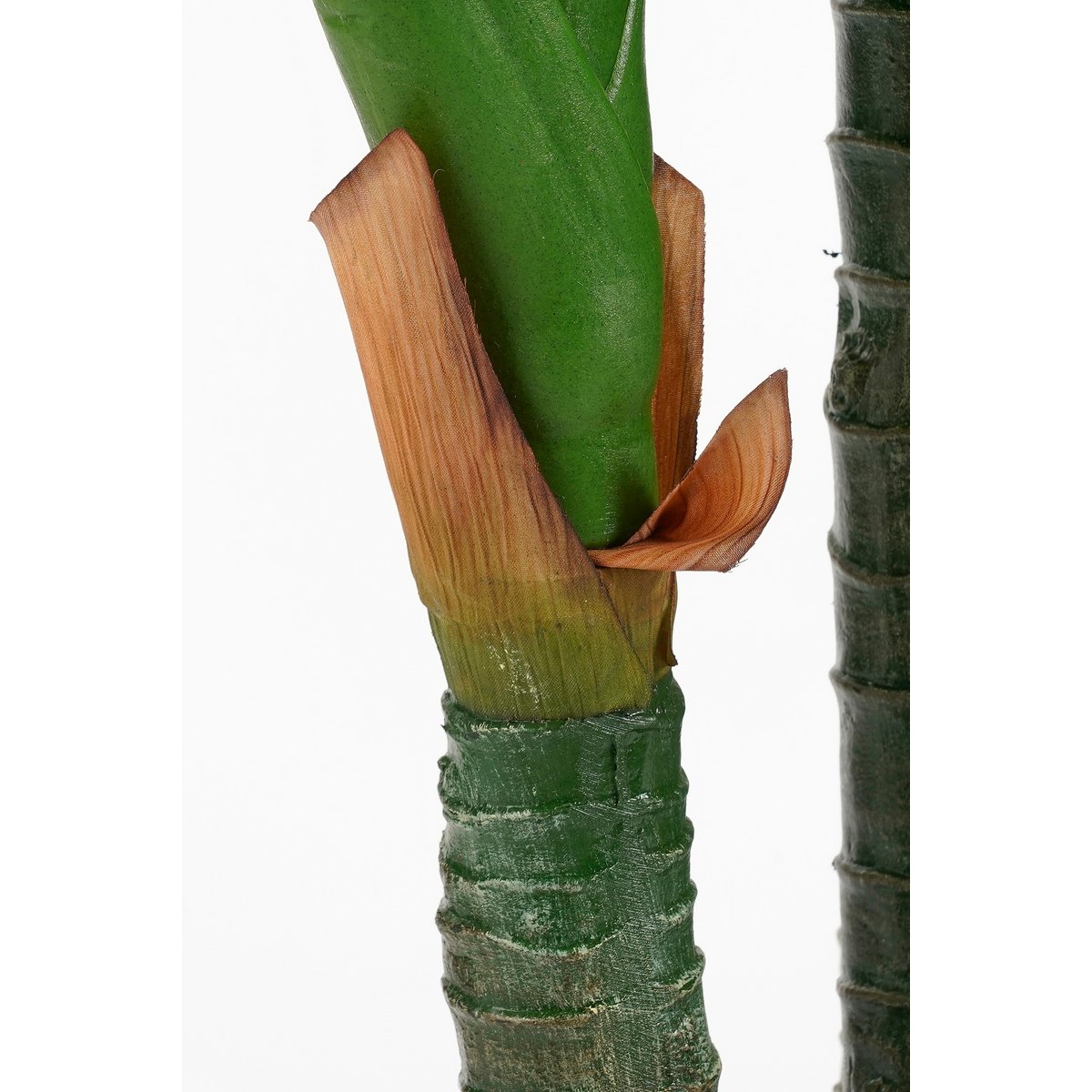Dieffenbachia Kunstplant - H150 x Ø70 cm-Mica Decorations-Ik Hout ervan.