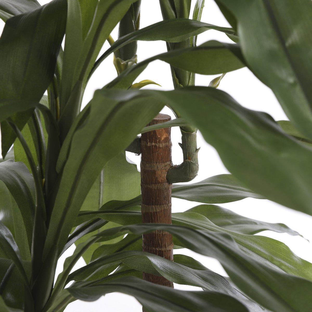 Dracaena Kunstplant - H100 x Ø70 cm-Mica Decorations-Ik Hout ervan.