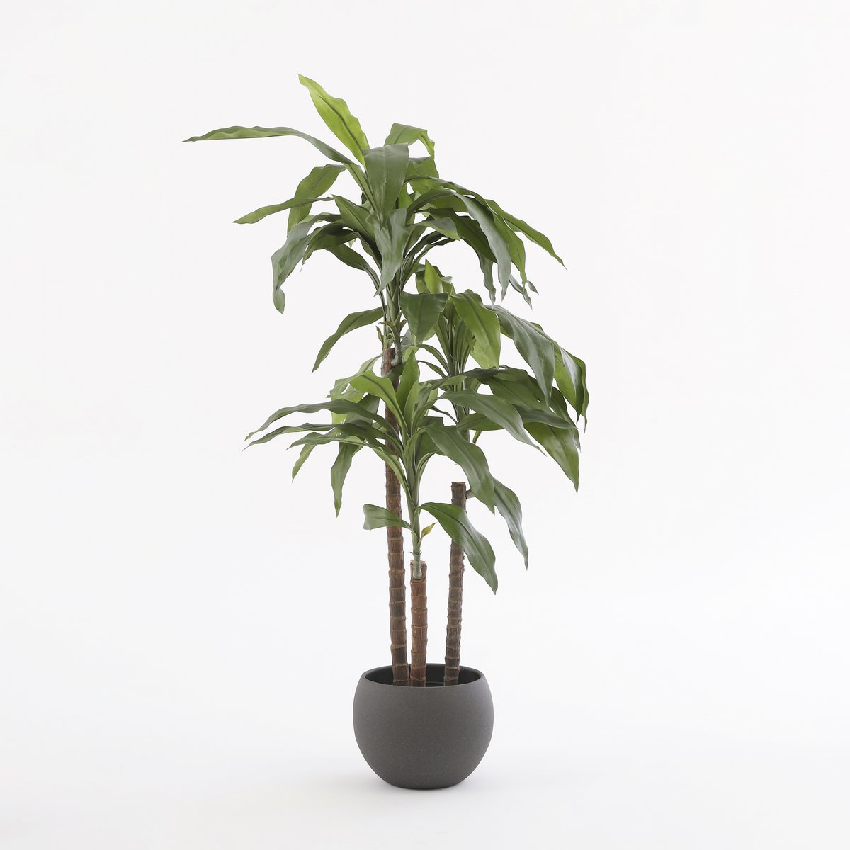 Dracaena Kunstplant - H100 x Ø70 cm-Mica Decorations-Ik Hout ervan.