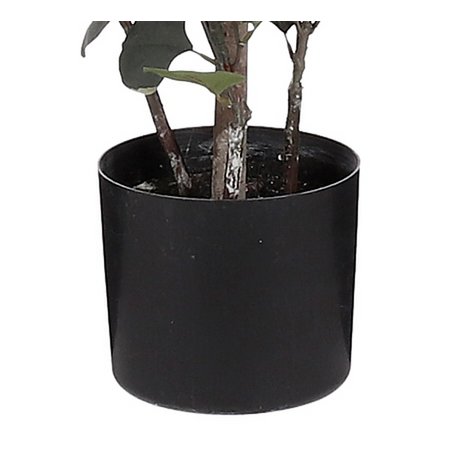 Eucalyptus Kunstplant in Bloempot - H150 x Ø30 cm - Groen -Mica Decorations-Ik Hout ervan.