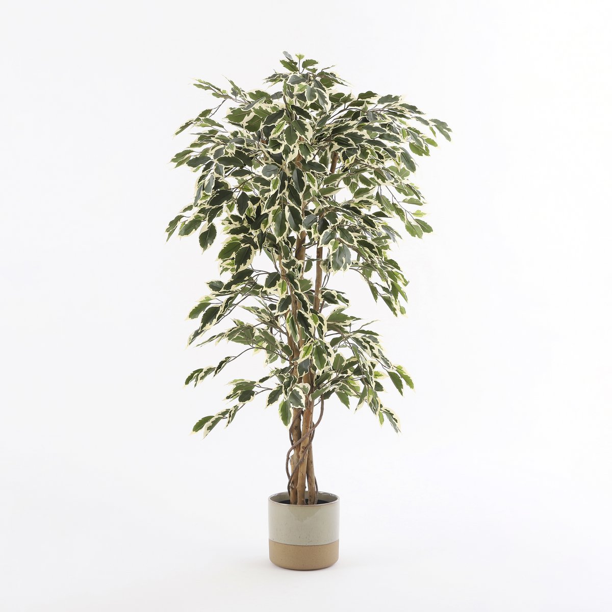 Ficus Kunstplant - H150 x Ø75 cm - Groen Bont-Mica Decorations-Ik Hout ervan.