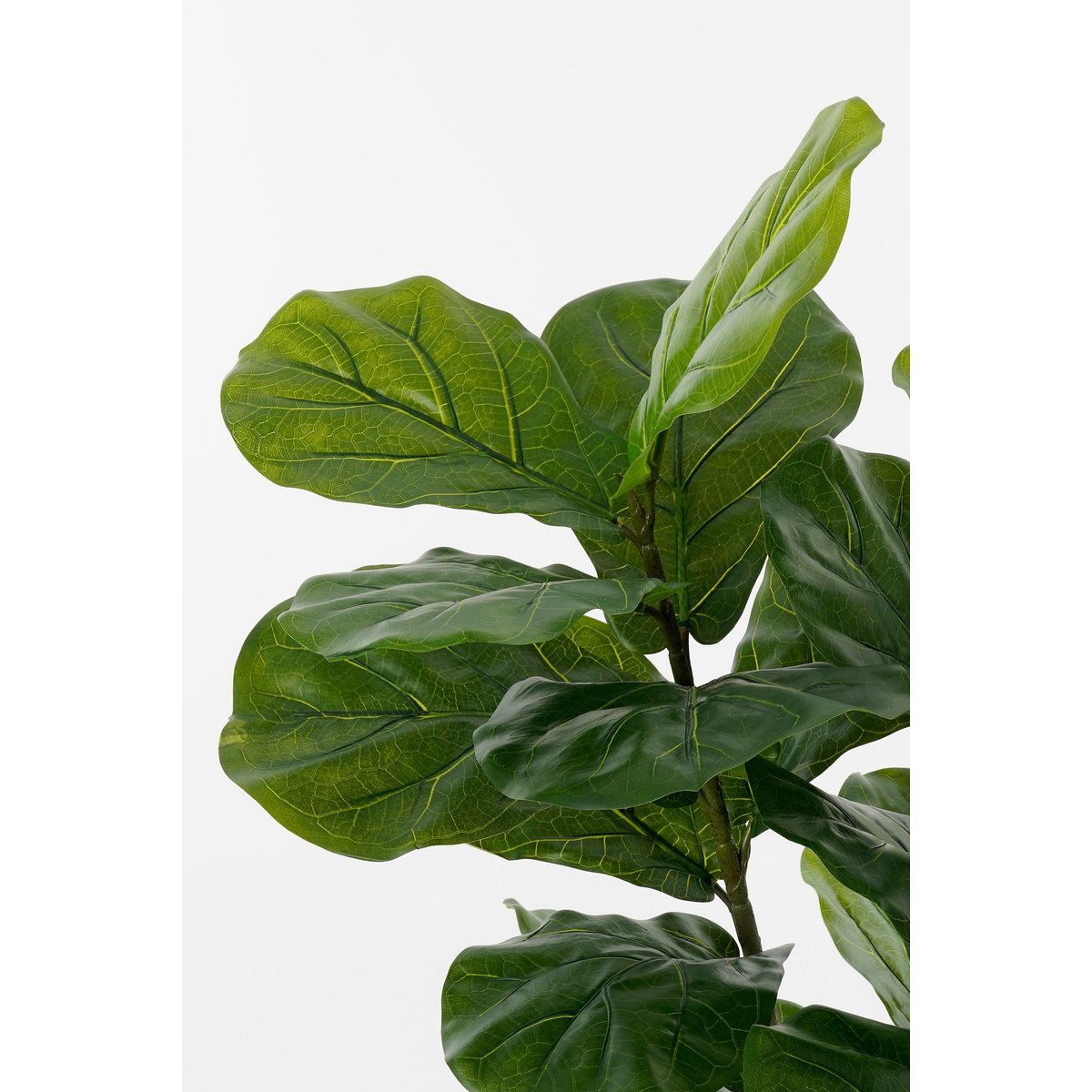 Ficus Lyrata Kunstplant in Pot - H150 x Ø50 cm - Groen-Mica Decorations-Ik Hout ervan.
