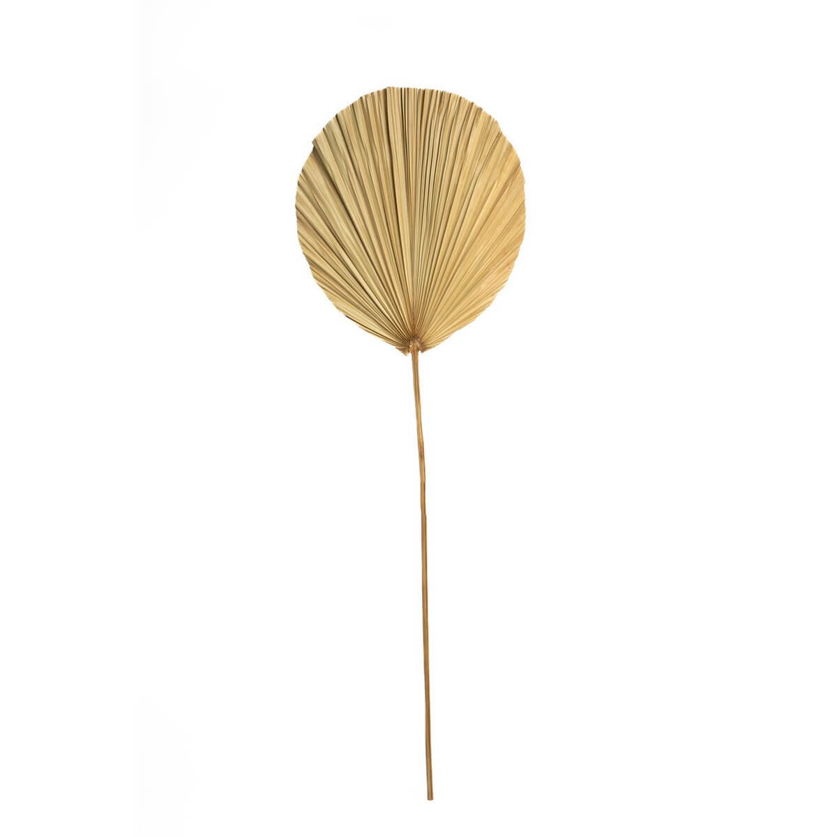 Het Rayung-blad - natuurlijk-Bazar Bizar Living-Ik Hout ervan.