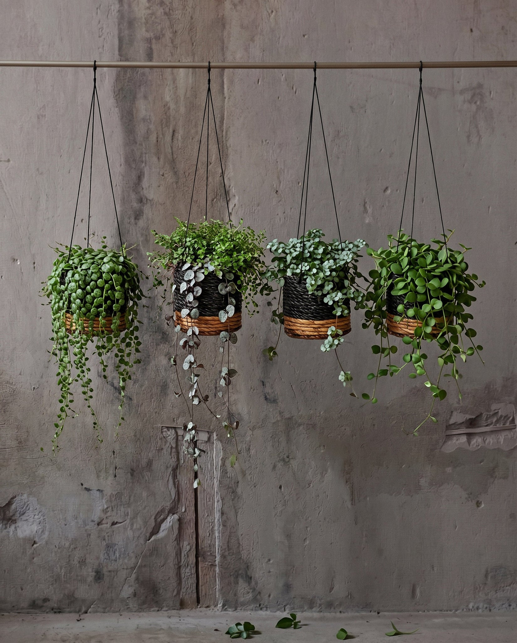 De Bananenplantenhanger - Naturel Zwart - S