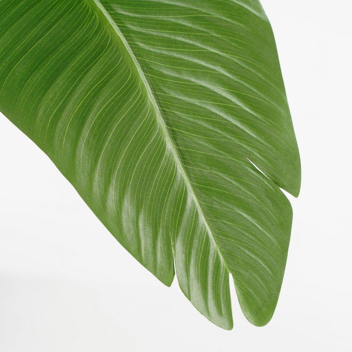 Kunstplant Bananenboom in Pot - H180 x Ø30 cm - Groen-Mica Decorations-Ik Hout ervan.