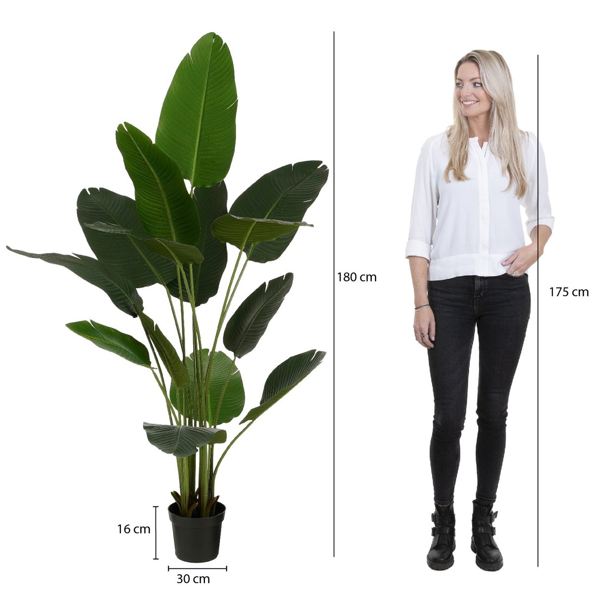 Kunstplant Bananenboom in Pot - H180 x Ø30 cm - Groen-Mica Decorations-Ik Hout ervan.