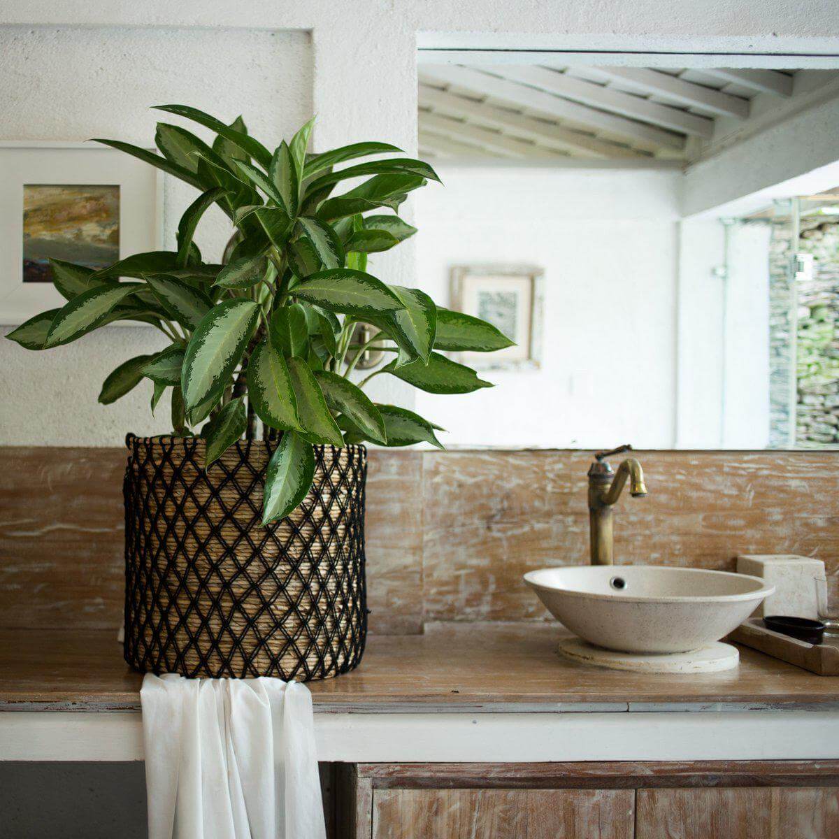 Opbergmand PURA van bananenvezel met plant in badkamer, duurzaam en handgemaakt met katoenen koordpatroon.