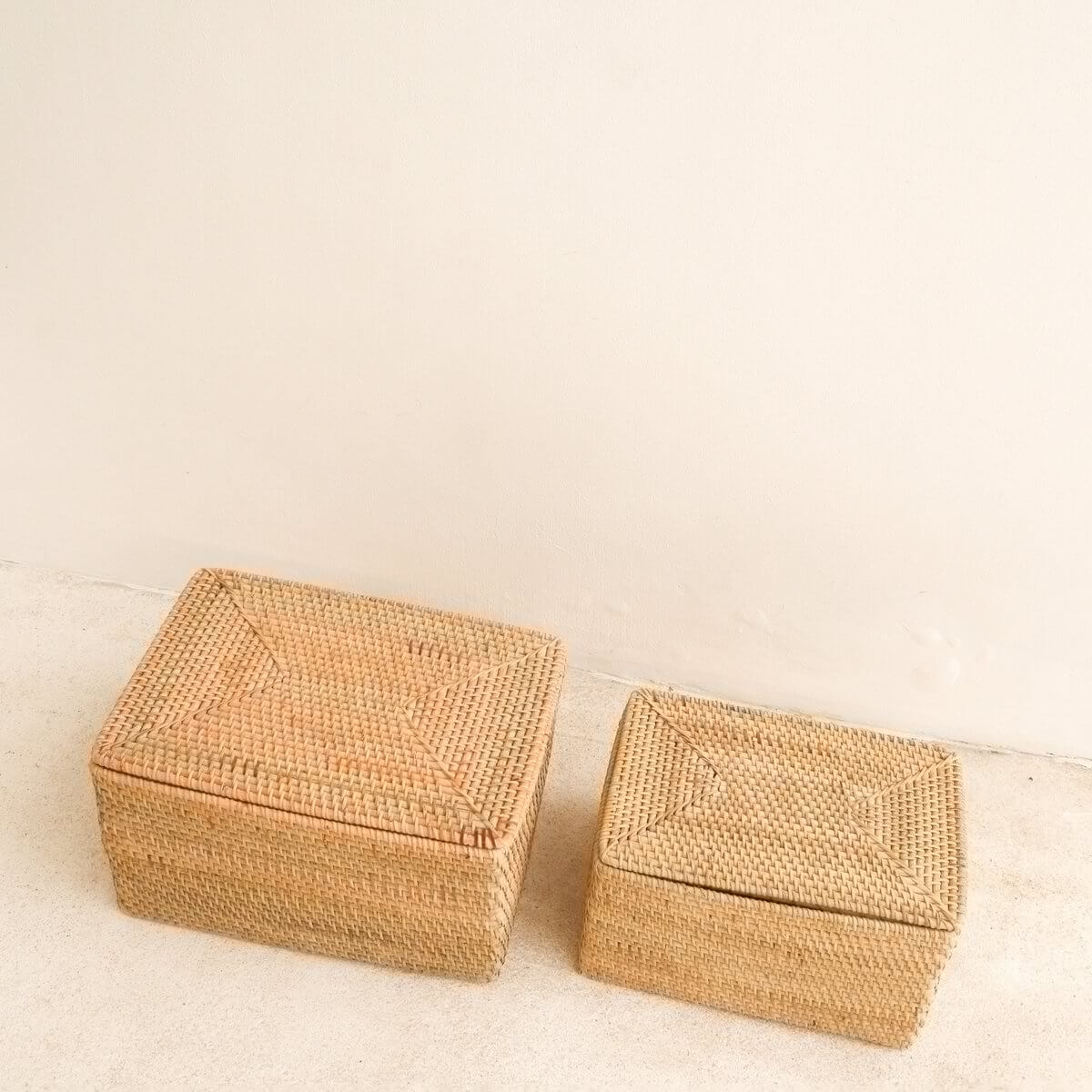 Alt Tag: Rotan opbergmanden met deksel in twee maten, handgemaakt en duurzaam, ideale stijlvolle opslag voor bureau of plank.