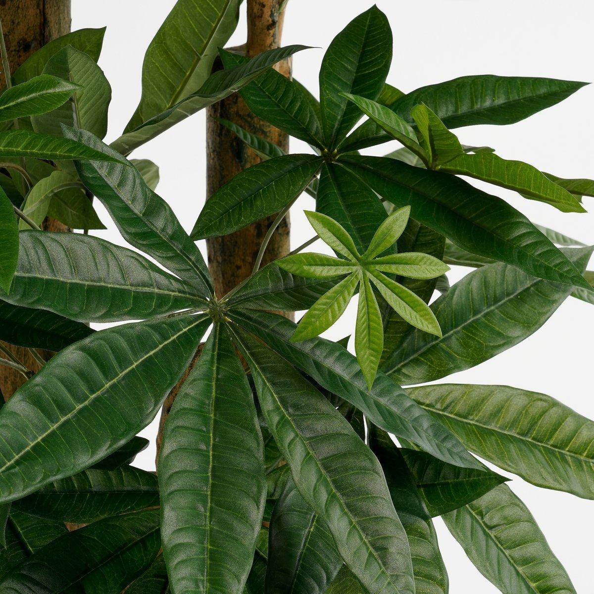 Pachira Kunstplant - H175 x Ø85 cm - Groen-Kunst planten-Mica Decorations-Ik Hout ervan.