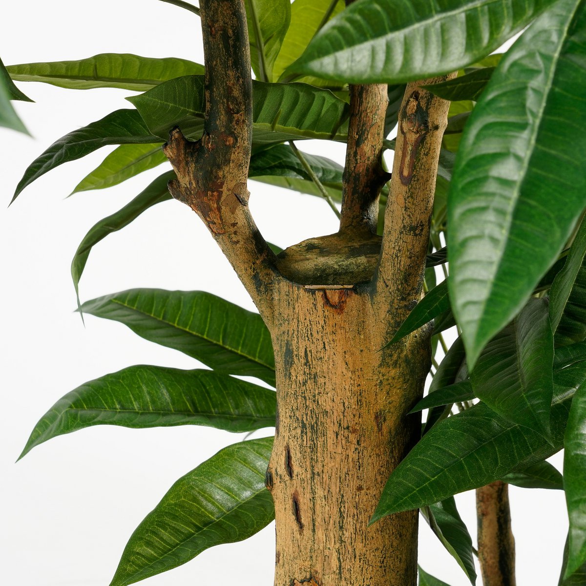 Pachira Kunstplant - H175 x Ø85 cm - Groen-Mica Decorations-Ik Hout ervan.