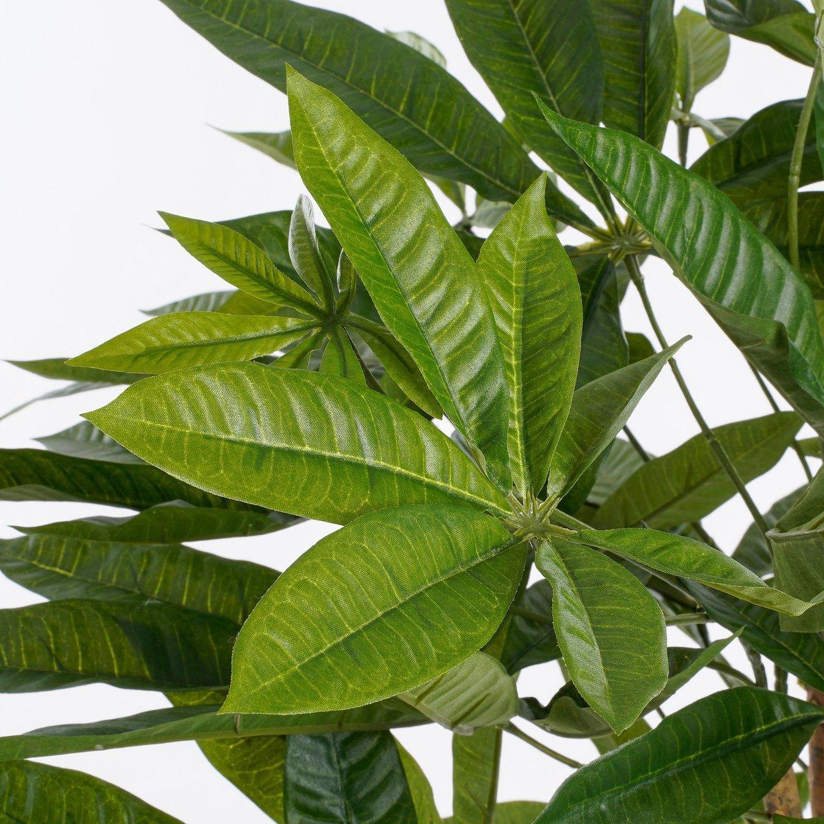 Pachira Kunstplant - H80 x Ø60 cm - Groen-Kunst planten-Mica Decorations-Ik Hout ervan.