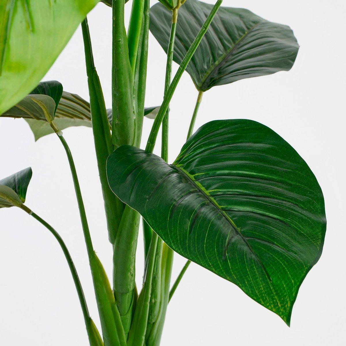 Philodendron Kunstplant - H100x Ø70 cm - Groen-Mica Decorations-Ik Hout ervan.