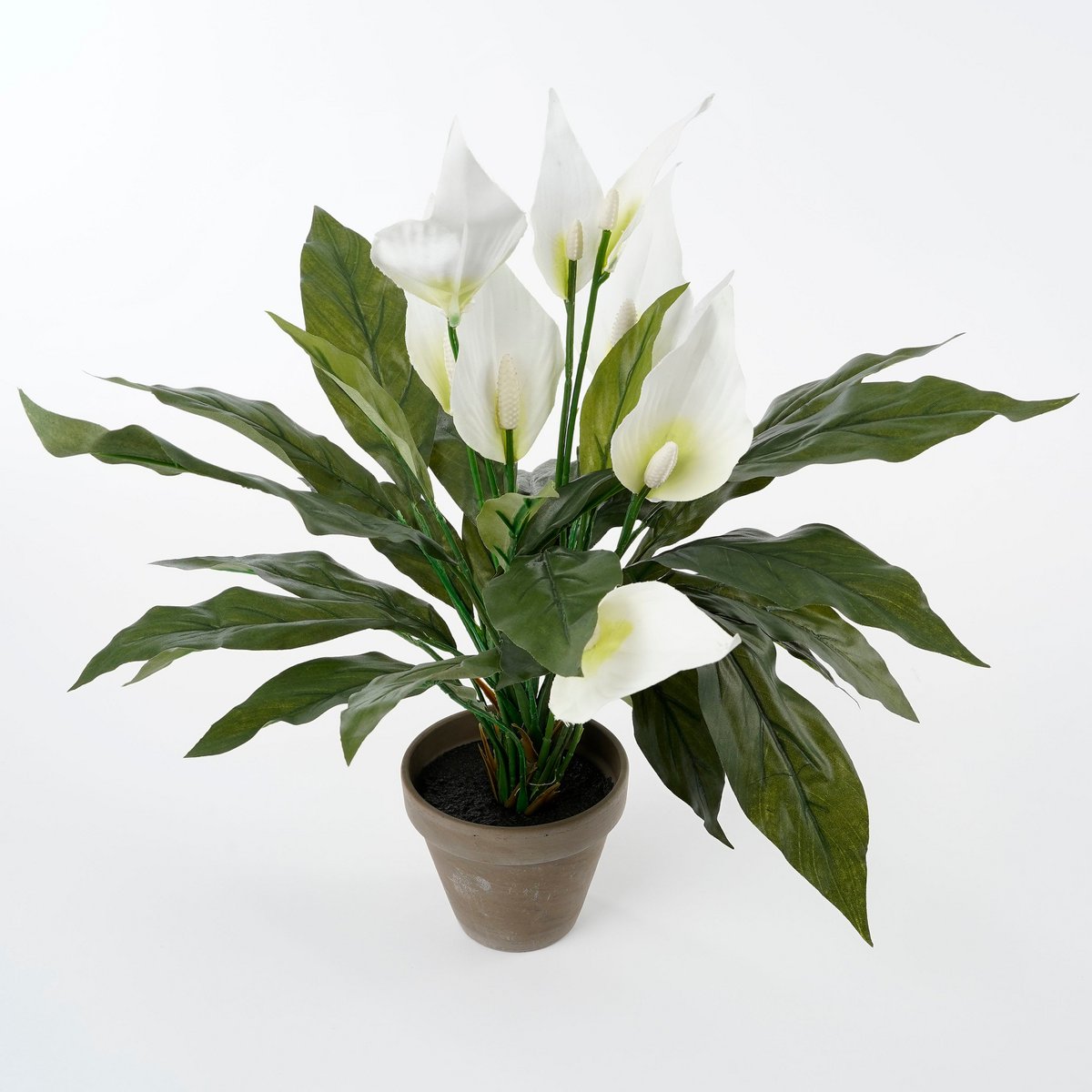 Spathiphyllum Kunstplant in Bloempot Stan - H50 x Ø40 cm - Wit-Mica Decorations-Ik Hout ervan.