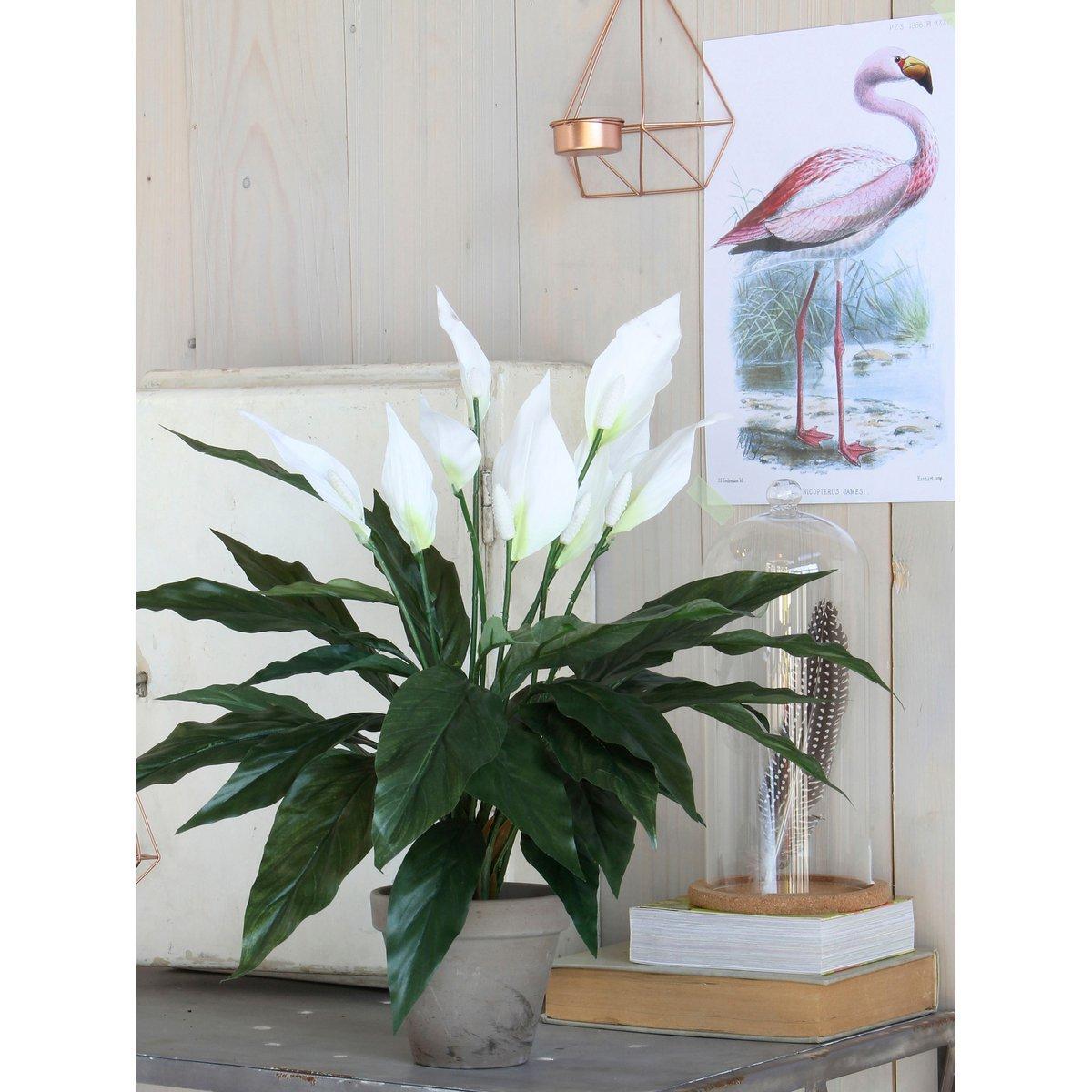 Spathiphyllum Kunstplant in Bloempot Stan - H50 x Ø40 cm - Wit-Mica Decorations-Ik Hout ervan.