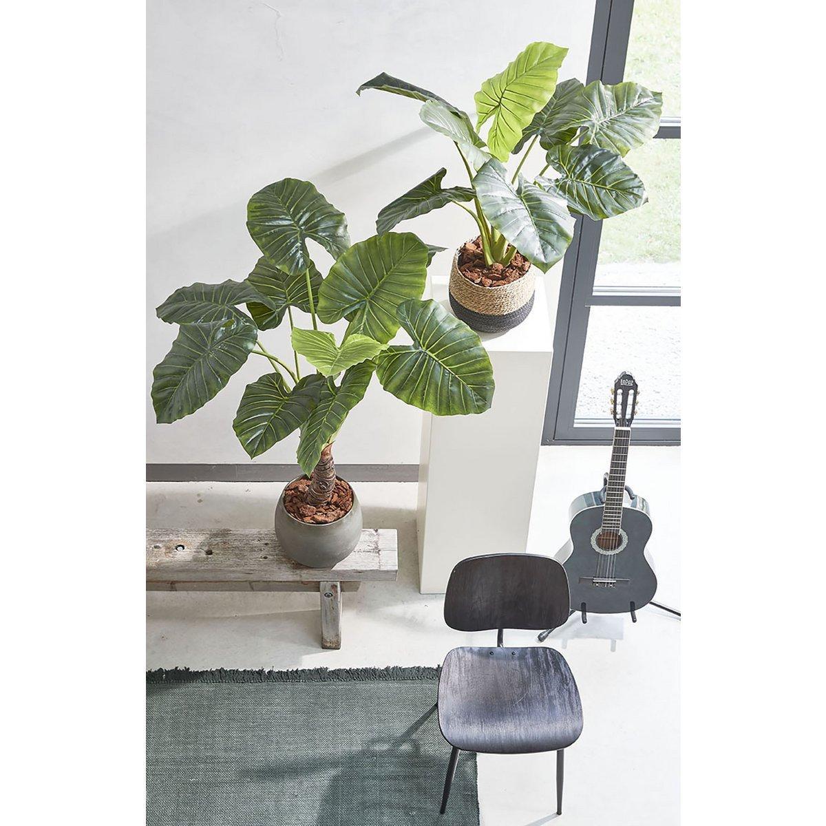 Taro Kunstplant - H100 x Ø70 cm - Groen-Mica Decorations-Ik Hout ervan.
