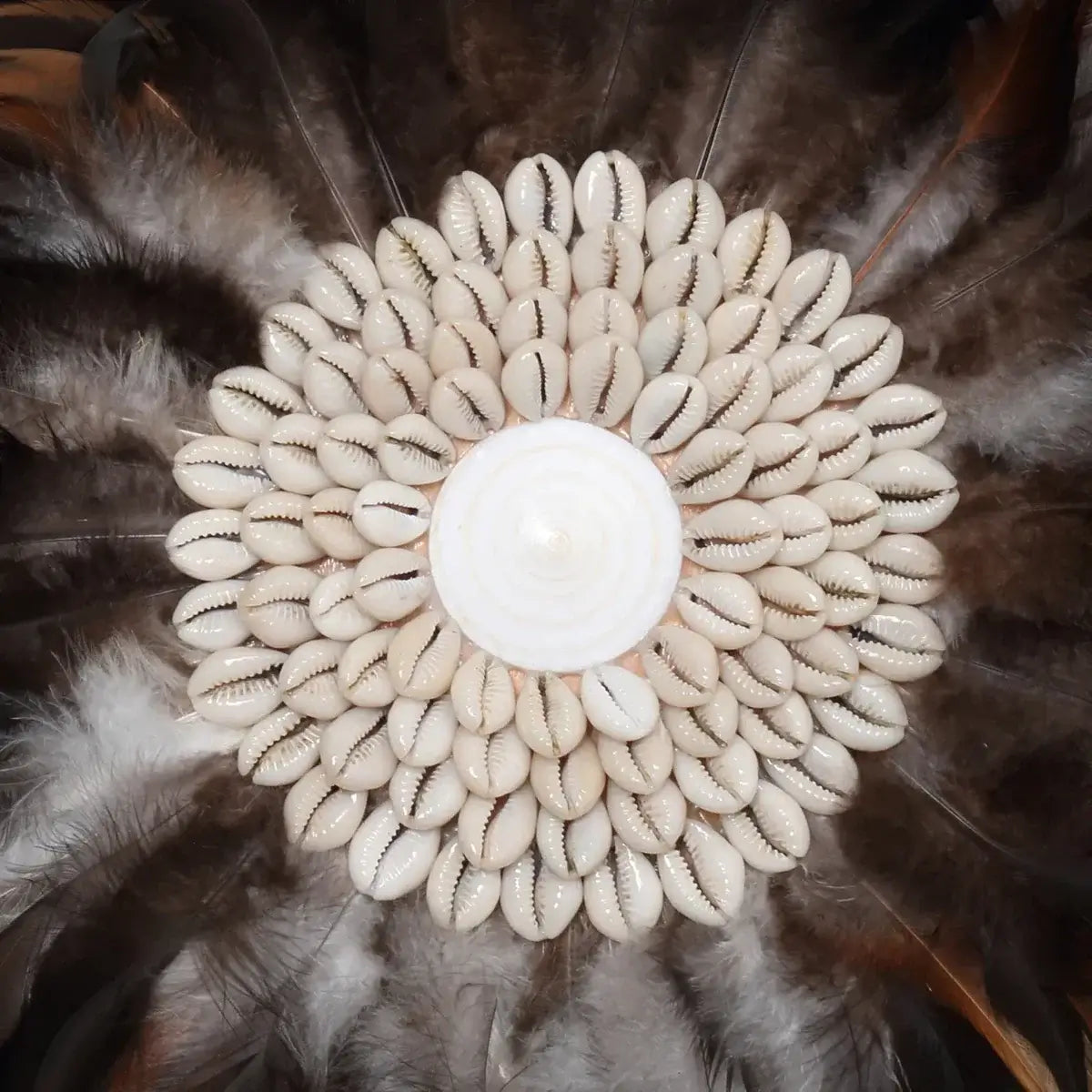 Bohemian wall display with black and brown feathers, hand-placed shells forming a circular pattern. Coastal Juju by Bazar Bizar Living.