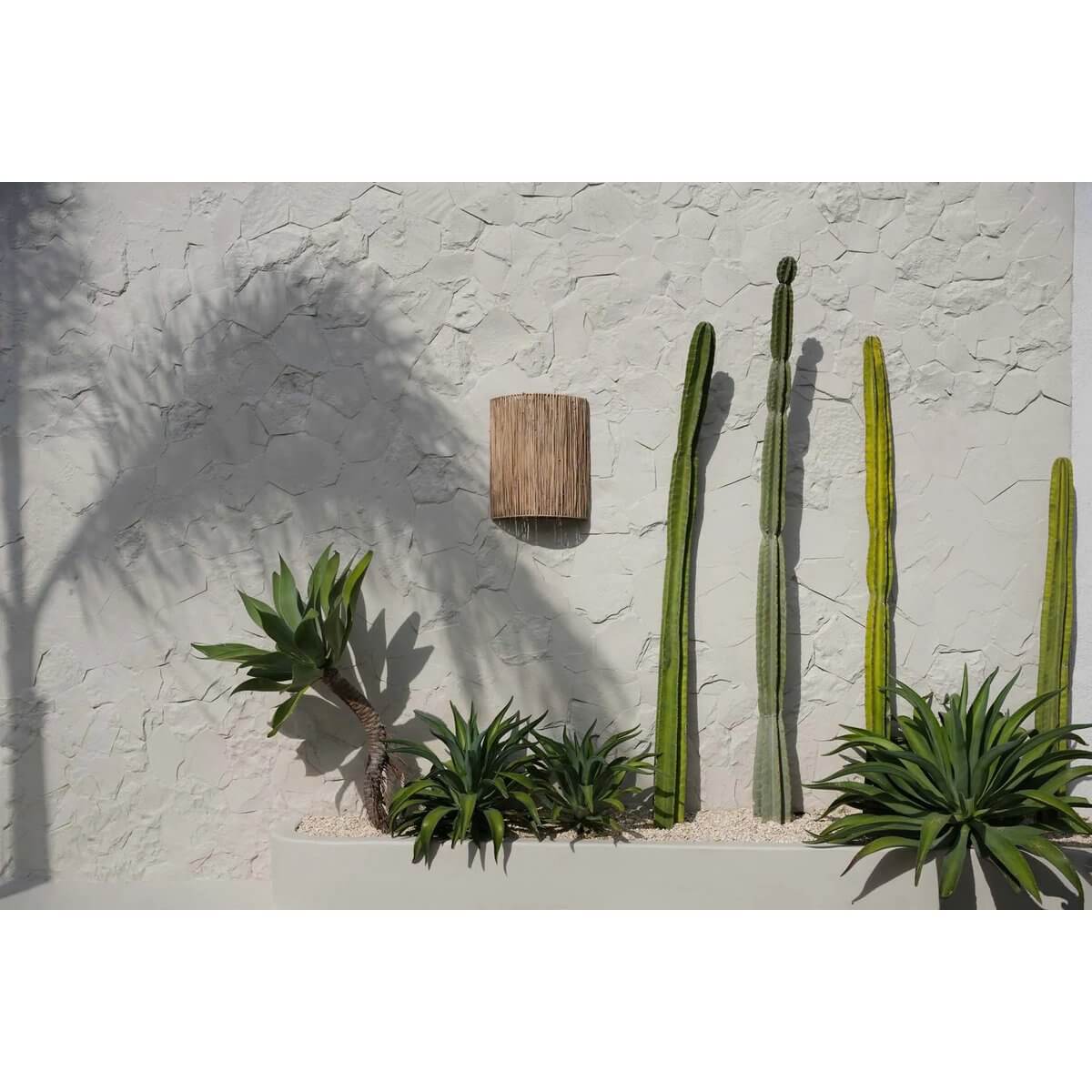 The Kohei wandlamp in natuurlijke sisal omringd door cactussen tegen een stenen muur, passend bij boho en moderne inrichtingsstijlen.
