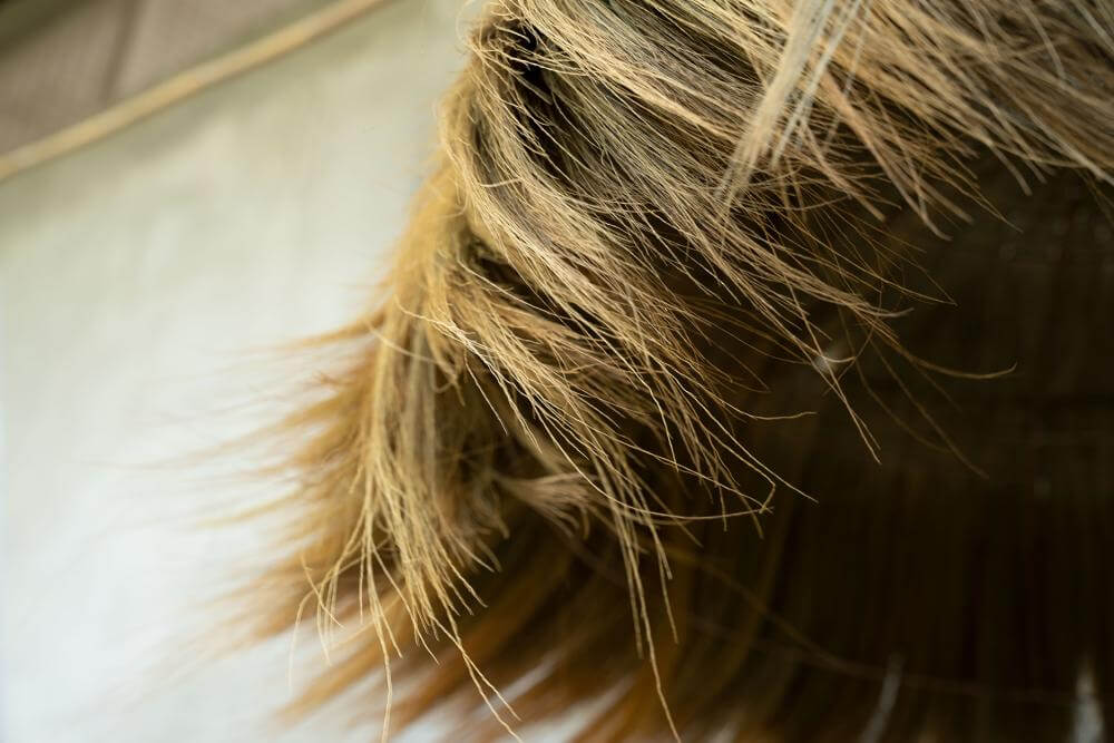 Close-up van het handgemaakte Makiki Pendant XL met mendong-gras, perfect voor een tropische sfeer in huis.