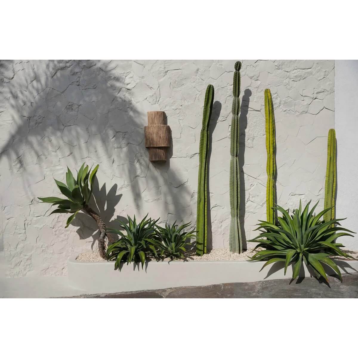 Ohana Wandlamp in natuurlijke omgeving met kunstig geplaatste cactussen en groen, perfect voor boheemse en moderne interieurs.