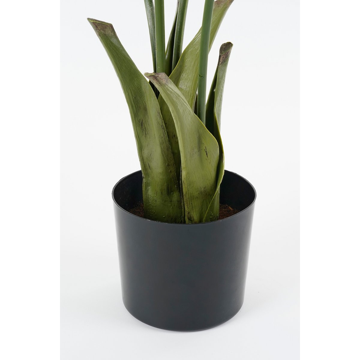 Vissenstaart Palm Kunstplant in Pot - H150 x Ø100 cm - Groen-Kunst planten-Mica Decorations-Ik Hout ervan.