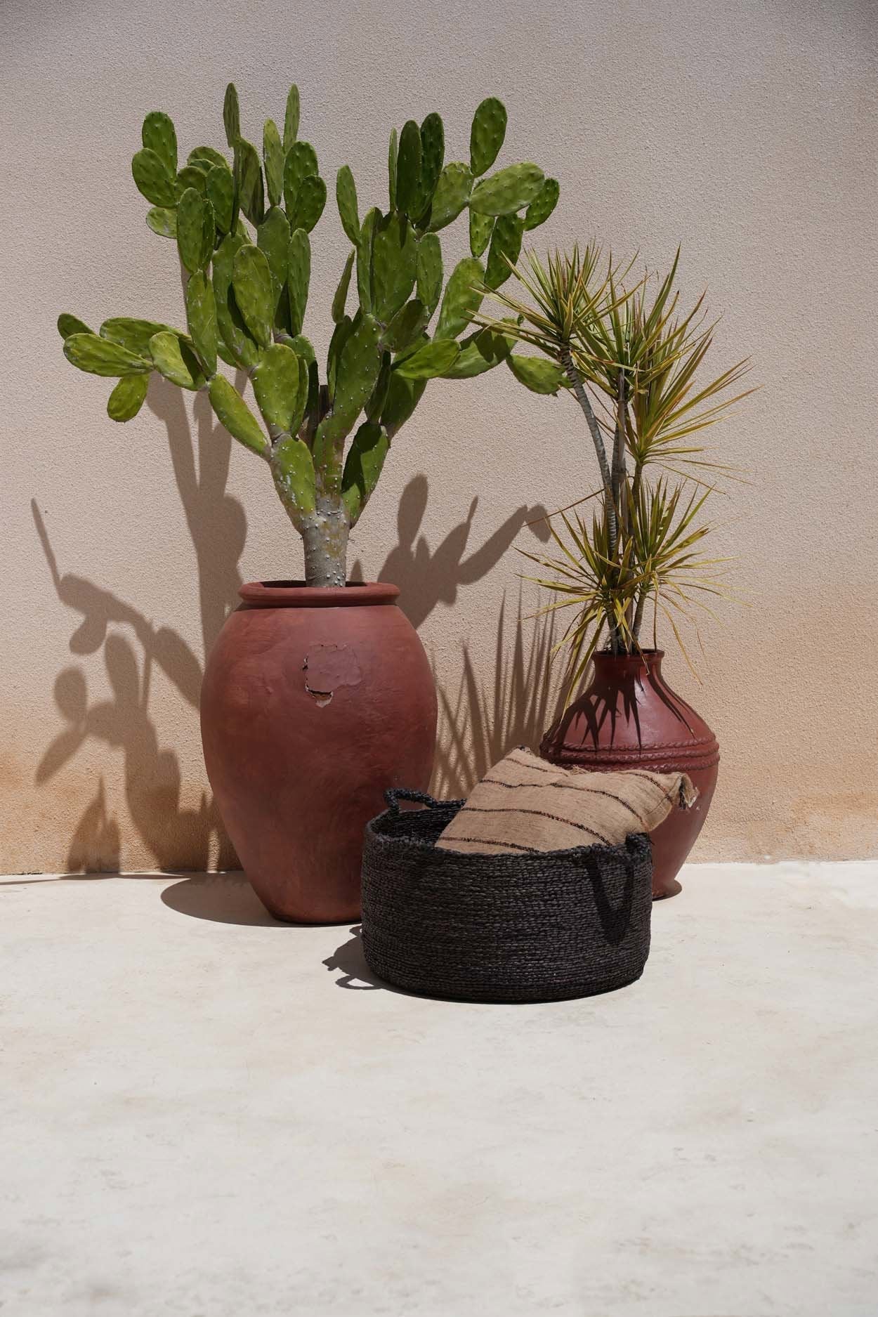 Zeegras opbergmand Sneakers